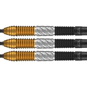 Bull's Dirk van Duijvenbode CP Steeltip 95% 2