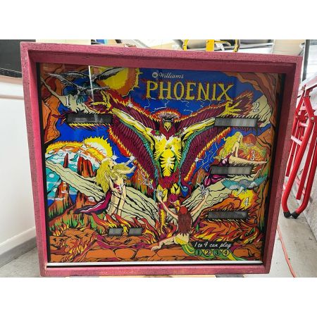 FLIPPER PHOENIX 1