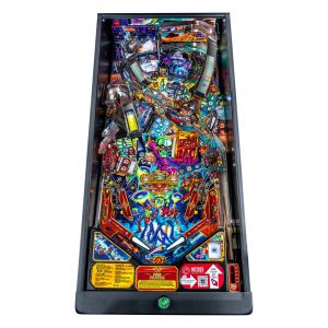 FLIPPER FOO FIGHTERS PRO 10