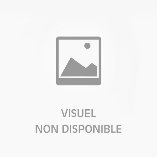 BORNE D'ARCADE PERSONNALISABLE 2