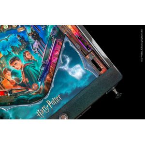 HARRY POTTER ARCADE 11