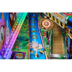 FLIPPER SONIC COLLECTOR 12