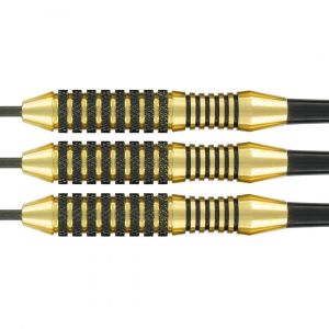 Bull's steeltip Tarantula 3