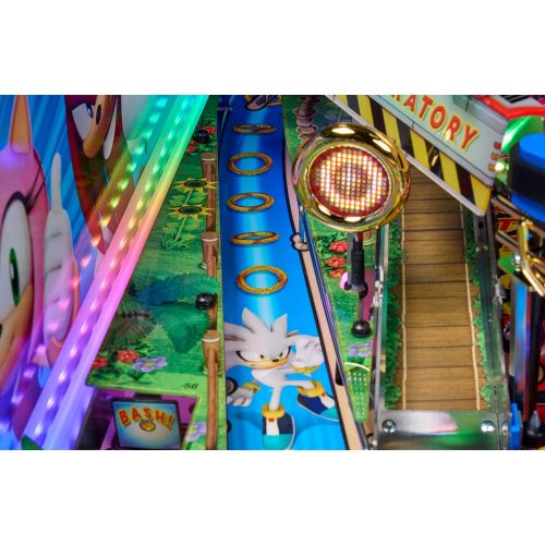 FLIPPER SONIC COLLECTOR 12