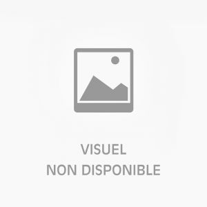BORNE D'ARCADE PERSONNALISABLE 21
