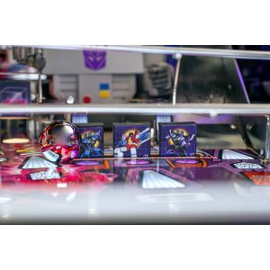 FLIPPER TRANSFORMERS LE 6