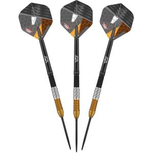 Bull's Dirk van Duijvenbode CP Steeltip 95% 3