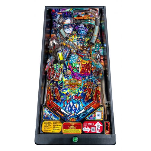 FLIPPER FOO FIGHTERS PRO 10