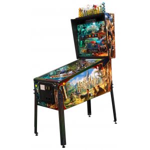 HARRY POTTER WIZARD 1